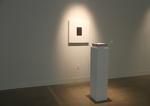 Adriana Corral; Hidden in Plain View, 2013; installation view